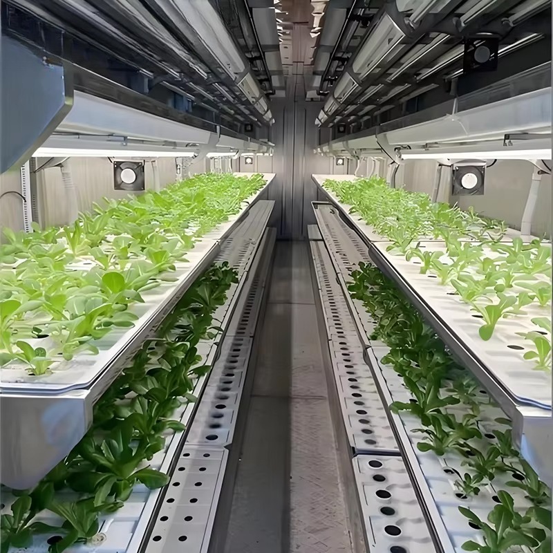 Smart Planting Container Verti - đánh giá và giá Urban Farming Vertical