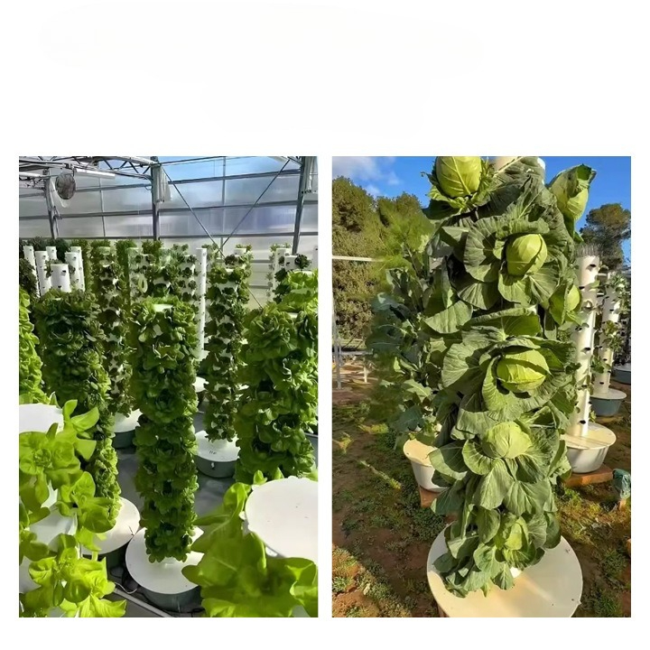 Hydroponic Tower with LED Grow - đánh giá và giá Hydroponic Tower Planter